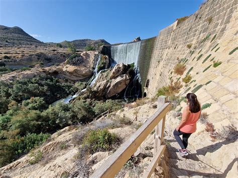 pantano de elche ruta|Rutas para conocer el Pantano de Elche